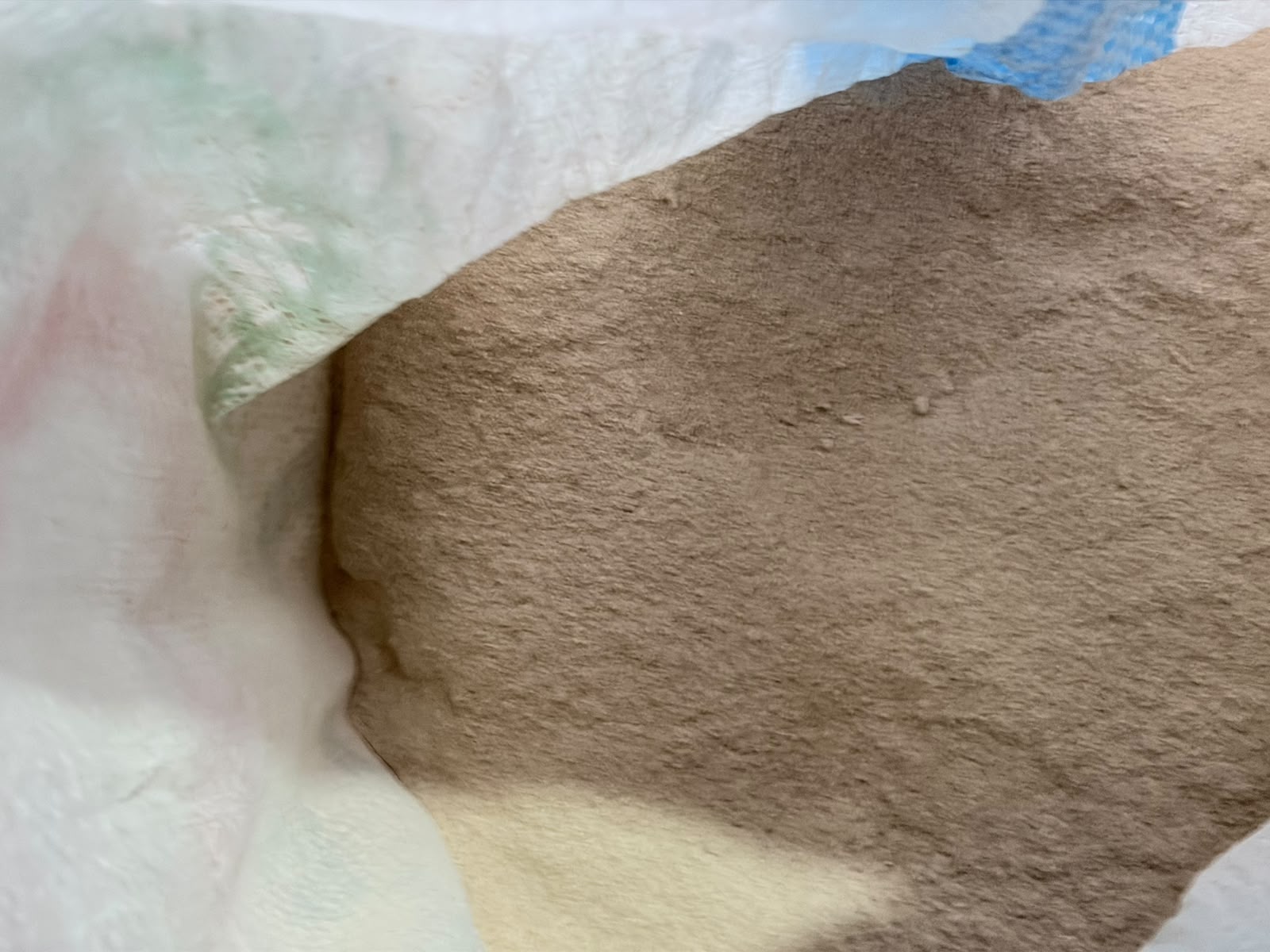 Rice Husk Powder